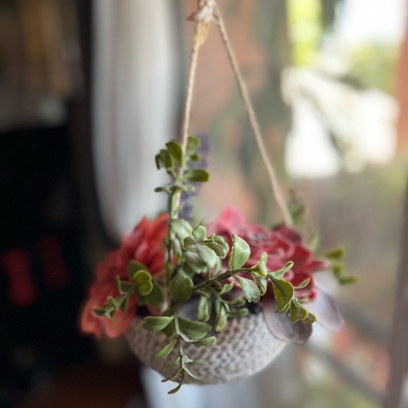 Succulent hanging decor - Picture 3 of 3